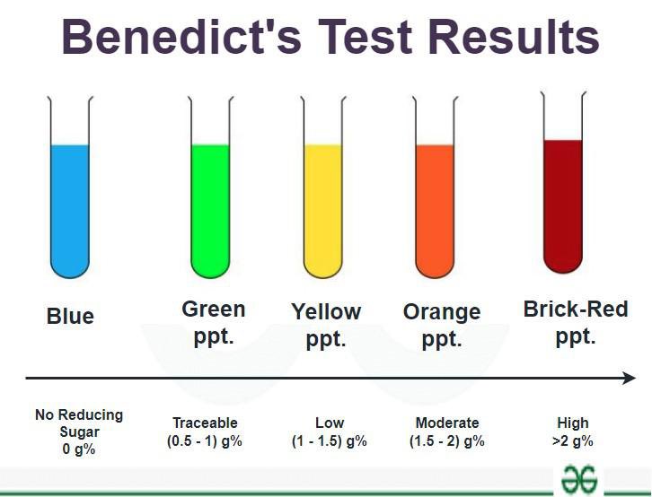 haradamori_'s tweet photo. ⭐️BENEDICT’S TEST REPORTING 

Negative — clear blue, blue precipitate may form
Tr — bluish green
1+ — green, green/yellow precipitate
2+ — yellow to green, yellow precipitate
3+ — “YOYO” Yellow Orange, Yellow Orange precipitate
4+ — reddish to yellow, brick red/red precipitate https://t.co/0I26KCBfaj