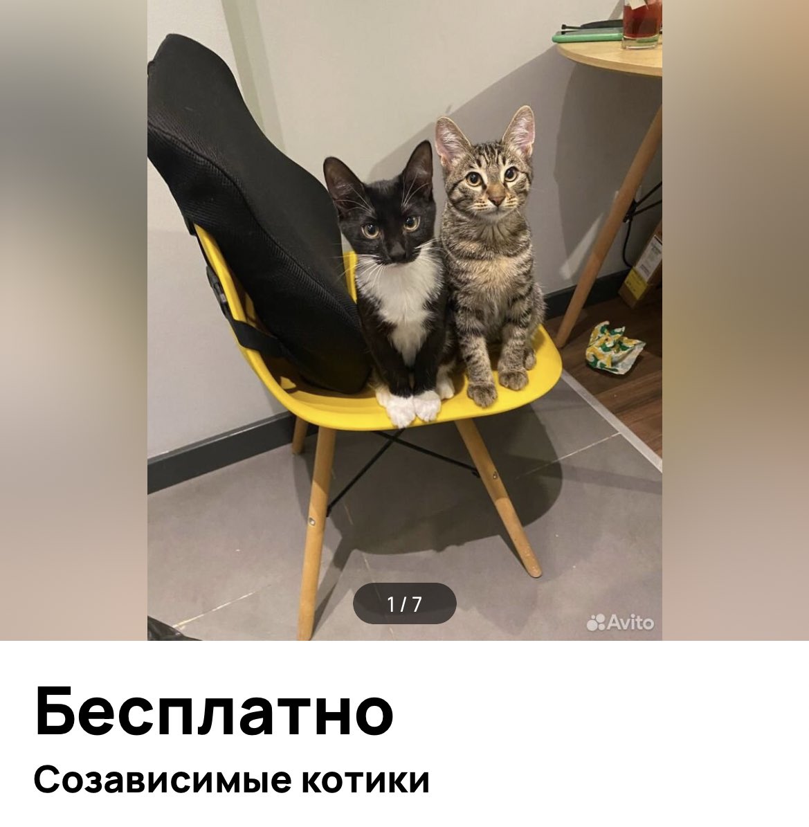 dbrfff's tweet image. надеюсь это будем мы