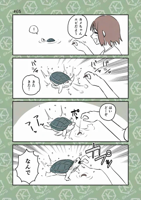 亀飼い4コマ「ねらい」 