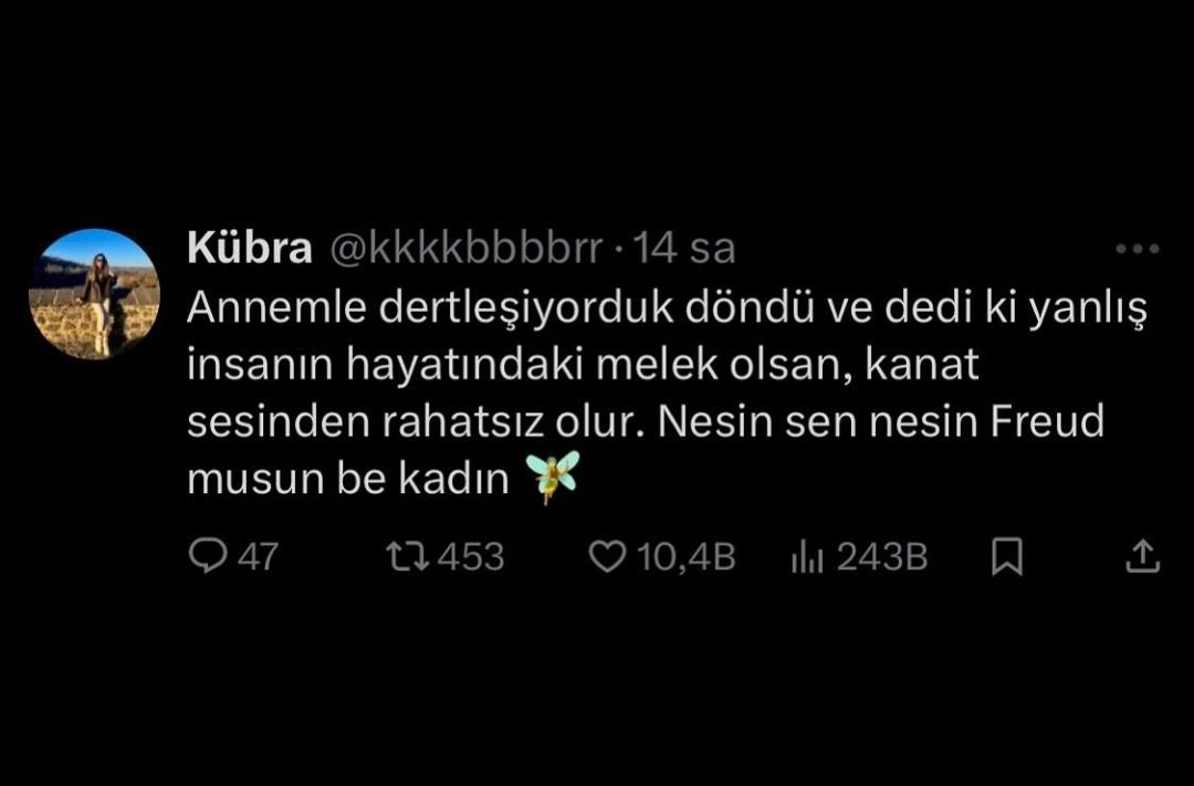 Biayçiçeği (@biaycicei) on Twitter photo 