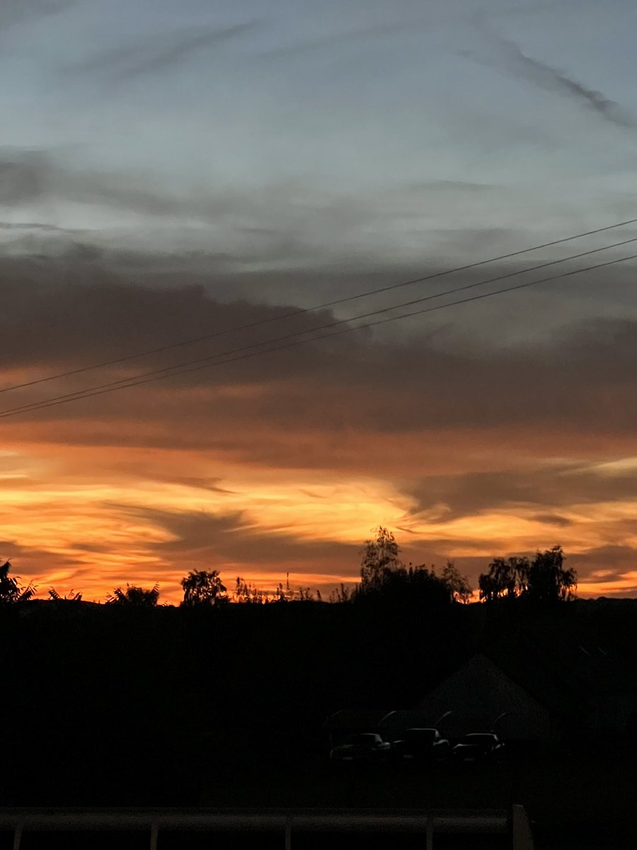 david eades tweet media