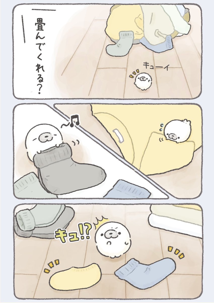 靴下の片方、行方不明になりがち 