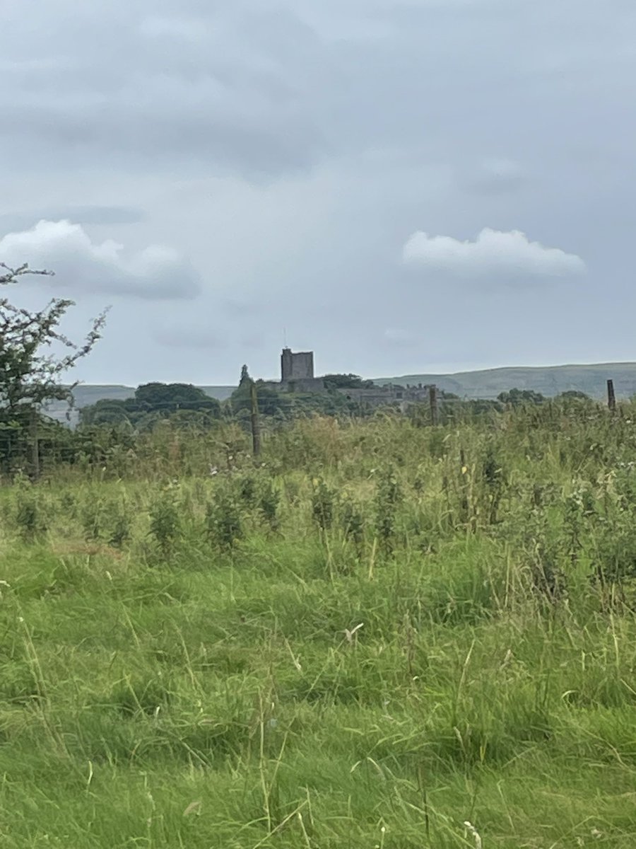 sixtysixrick's tweet photo. Sundays Mooch around the outskirts of Clitheroe. Have a good day everyone 👍
#Mooching https://t.co/jDd2O6jTXv