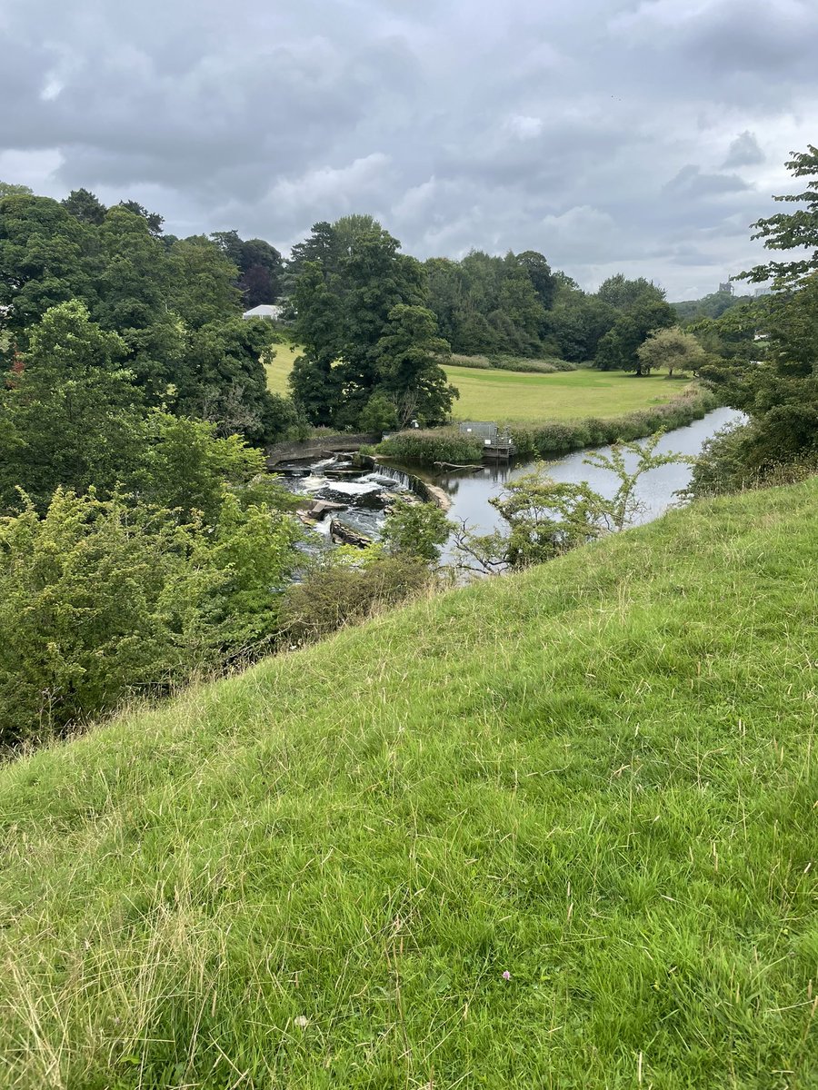 sixtysixrick's tweet photo. Sundays Mooch around the outskirts of Clitheroe. Have a good day everyone 👍
#Mooching https://t.co/jDd2O6jTXv