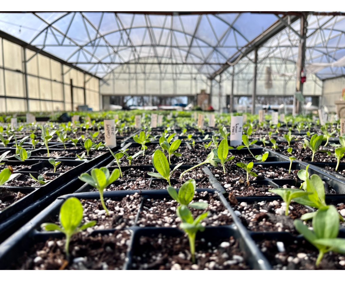 KCFarmSchool's tweet photo. Good morning! It’s time to vote again!

https://t.co/vqHhAO4oEd

Your vote will turn 10K into 50K and help us restore the community greenhouse!

You’ll click on “Plains” then find “Growing Food and Opportunities” , vote, check your email for a code, copy the code and click Enter. https://t.co/K3SUWSWHV0