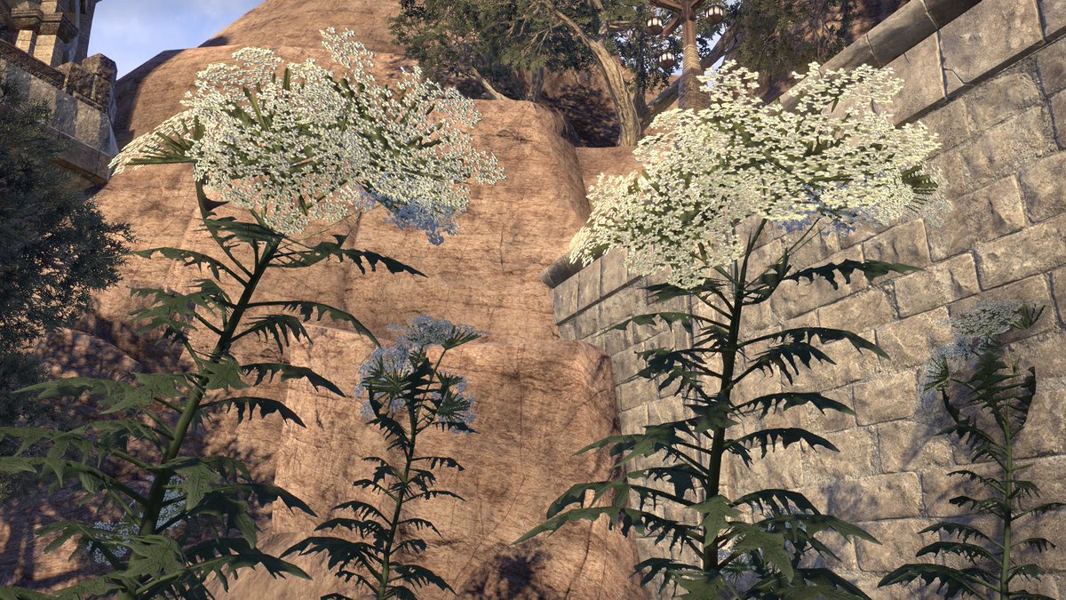 el_shepot's tweet photo. It appears Zanil sells hogweed this week...
#ESO https://t.co/fkFUkYU8x5