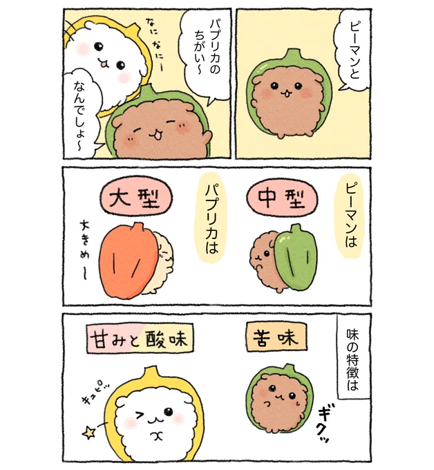 ピーマンとパプリカの違い🫑(1/2)

#漫画が読めるハッシュタグ 