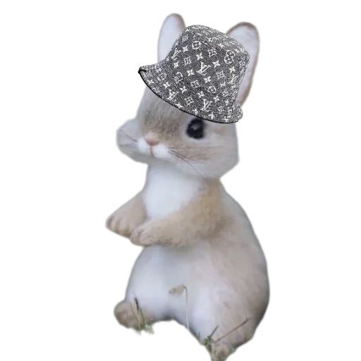 IMoonbot's tweet photo. @shahh $BUNNE is the play of this Solana bull run 

Reasons to buy ✅

1. Cute bunne memes
2. Based cto &amp; community
3. Dex trending #4
4. Did somebody say Gold tick on X?

Ca 👇

2DWYC19ULy5NRBv69NFNtukz1fztrEASzRye9qECpump https://t.co/dRoxOTPi9L