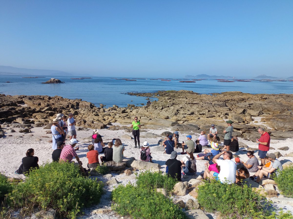 ailladosratos's tweet photo. 🌞 Ruta 726 "Intermareal de Areamilla" 🐟
🐭 Ruta familiar para descubrir a fauna e a flora das pozas e analizar as diferencias entre as areas das praias do Morrazo.
#ailladosratos #intermareal #areamilla #coñecendocangas #historiasdomorrazo https://t.co/9ef2GvpMvK