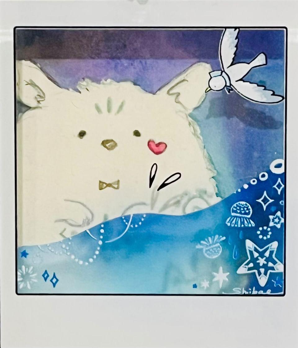 ねぇねぇ見てみて。
あきさんがアクキーに重ねて遊んでくれた画像をくれたんだけどめちゃめちゃ可愛い。 