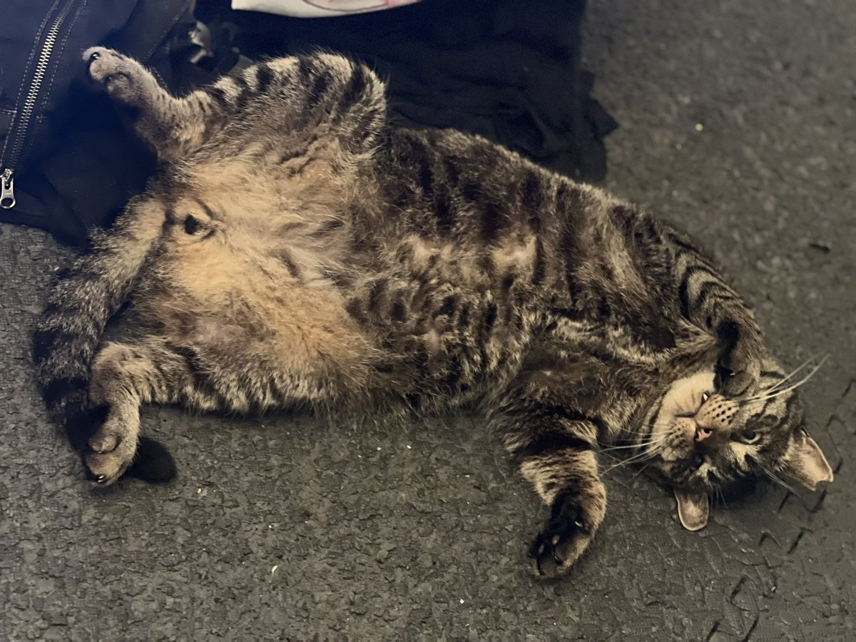 何？この格好は