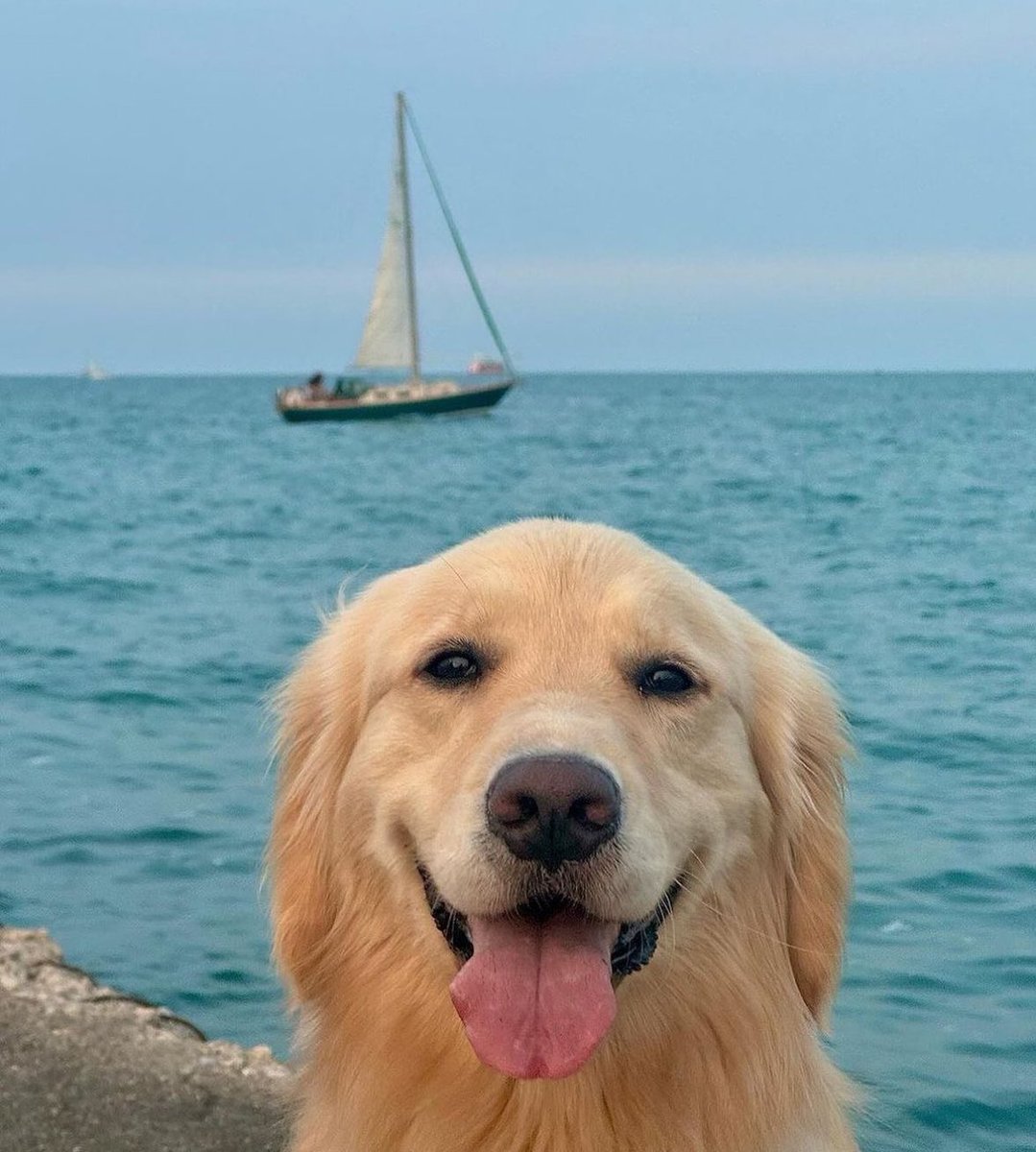 ThesotericKang's tweet image. 😍