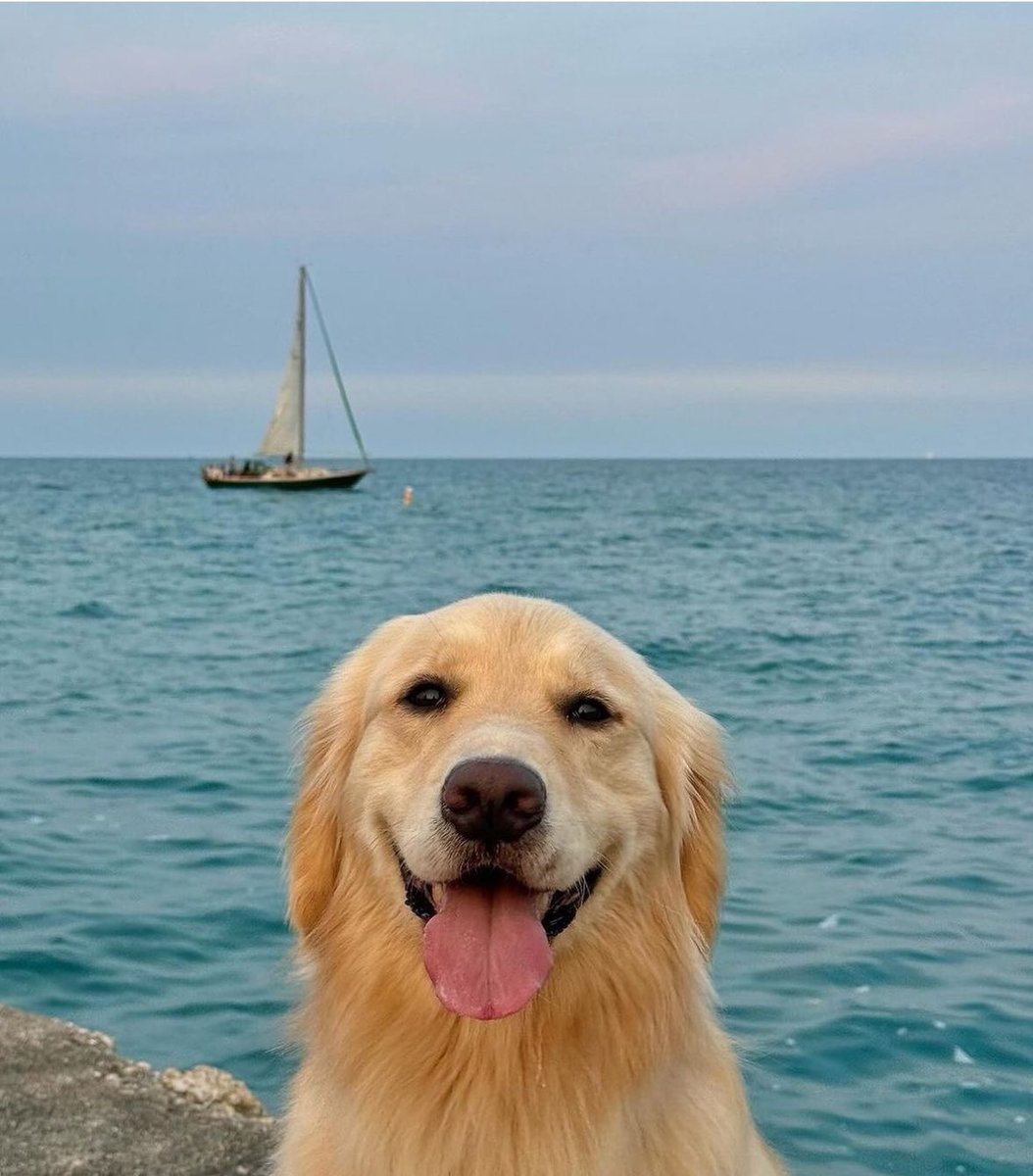 ThesotericKang's tweet image. 😍