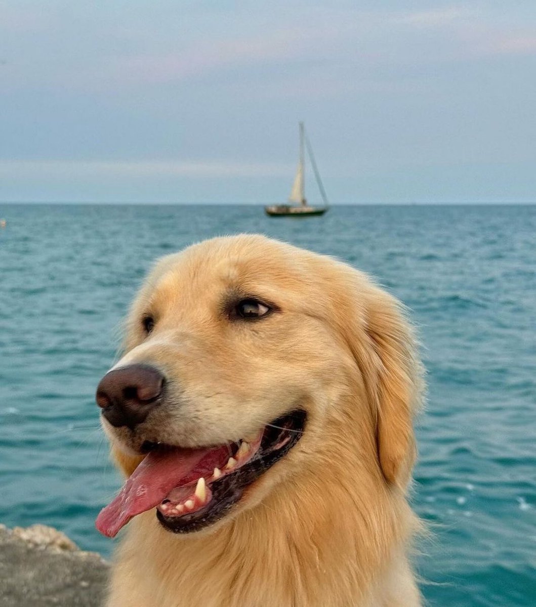 ThesotericKang's tweet image. 😍