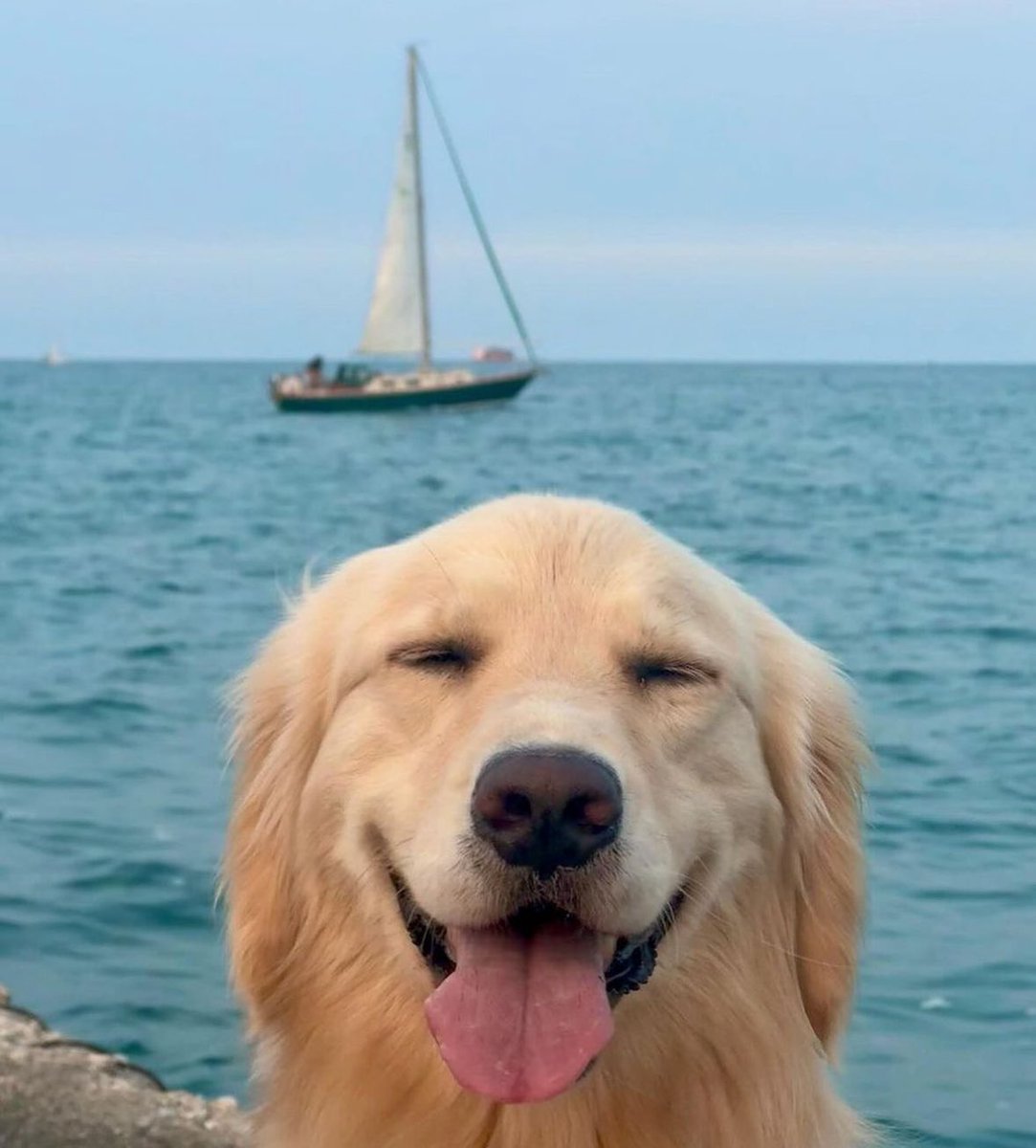 ThesotericKang's tweet image. 😍