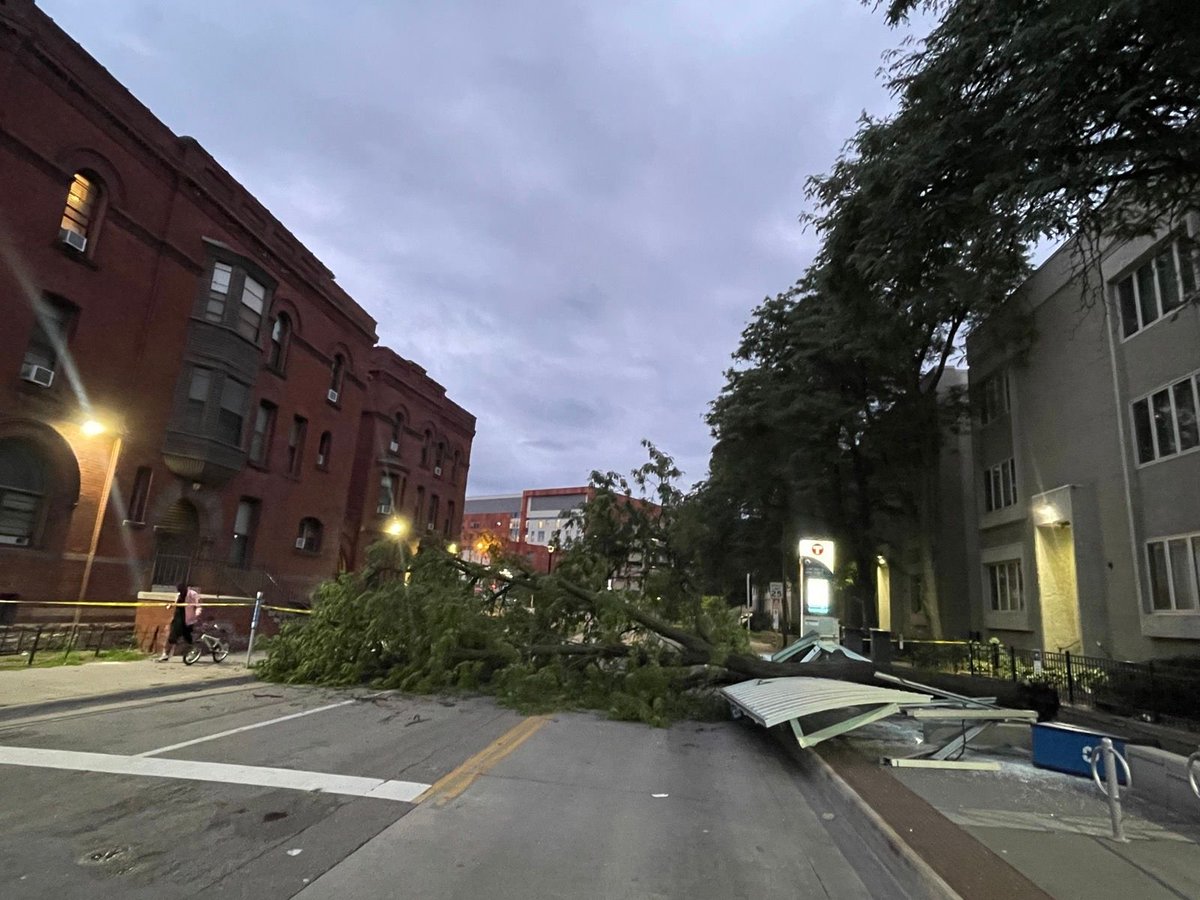 MplsBikeTrails's tweet photo. I didn't see too much damage from last nights storms but a tree did take out the northbound D-line bus stop at 14th &amp; Chicago. 😲 https://t.co/vKeamk3GVR