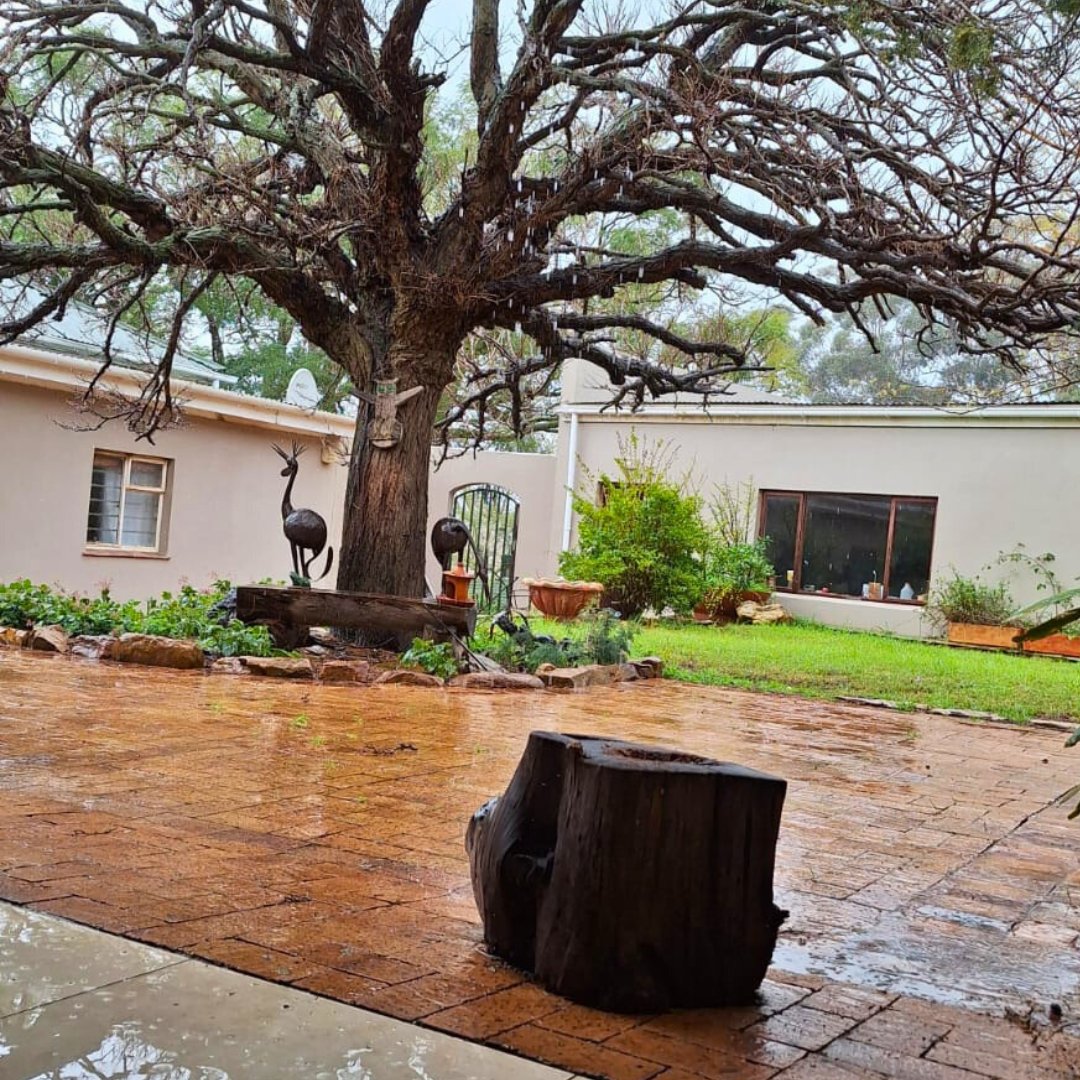 Kaboutjie's tweet image. Today, I&apos;m grateful for the rain. Yes, we&apos;ve had lots of rainy days and storms causing chaos across South Africa, but let&apos;s not forget the severe drought and water shortages we faced for years. We were on the brink of Day Zero! 🌧️🙏 #GratefulForRain #WeatherChanges #SouthAfrica