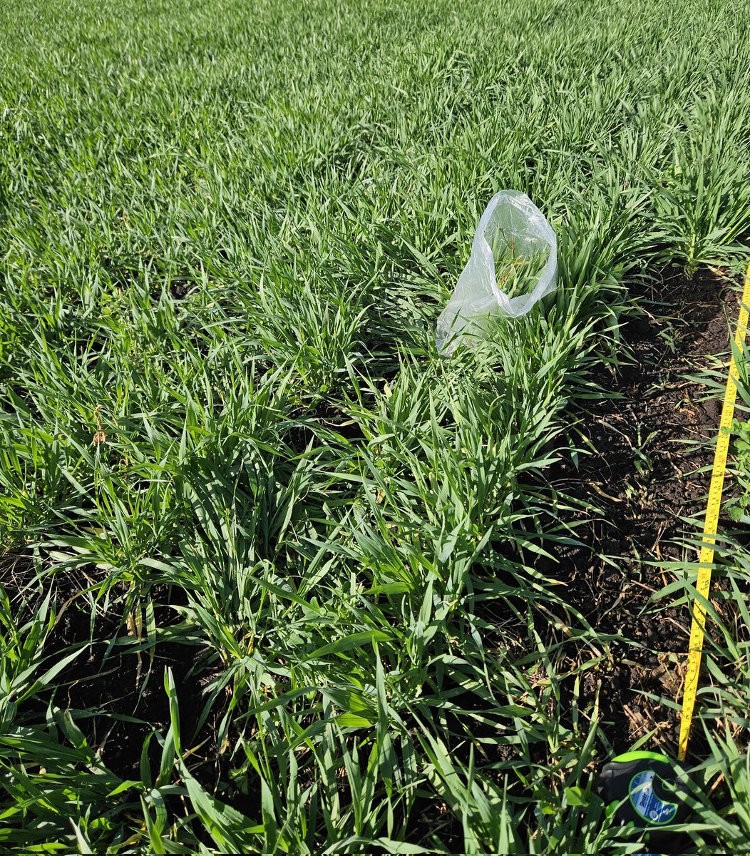 Seba Purtscher tweet media