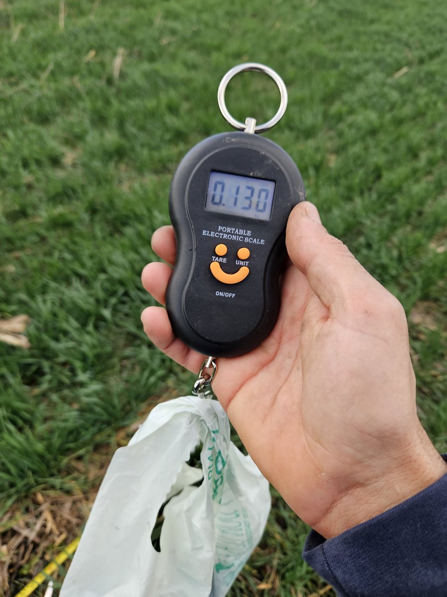 A traves de Script creado con ayuda de Chatgpt, vemos imagenes NDVI de sentinel 2 en Google EE. En Qgis procesamos la imganes y le damos mas contraste para ver diferentes zonas. Muestreo de biomasa para mandar hacer analisis de Nitrogeno y MS en cultivos de cebada y trigo en 30