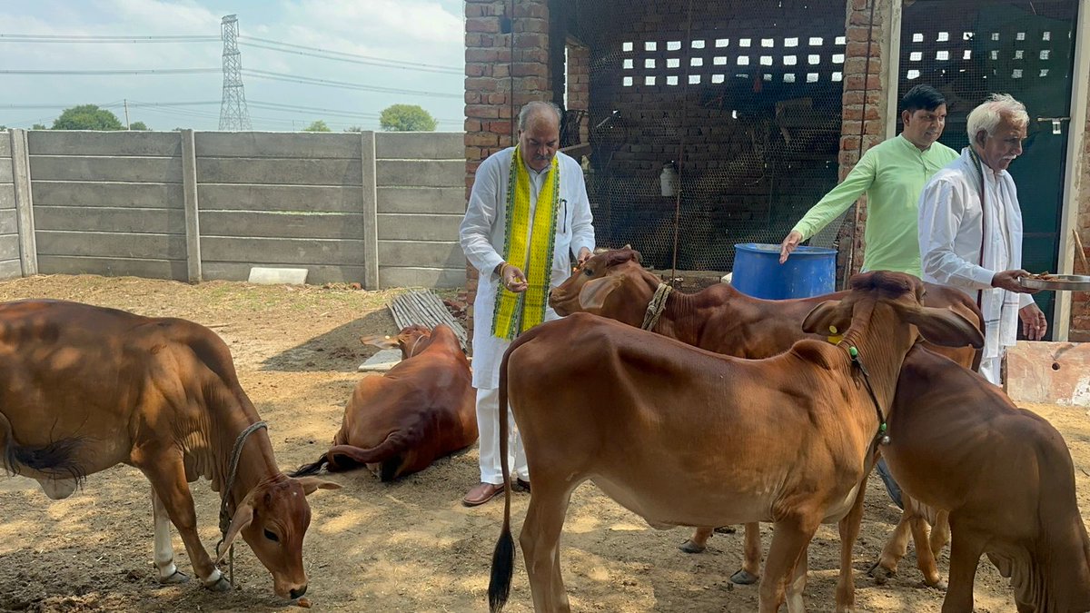 laxmanyadav4bjp's tweet photo. हरियाली अमावस्या के शुभ अवसर पर गौमाता को गुड़ खिलाया ! गौमाता से कोसली के अपने परिवारजनों के लिए सुख - शांति और समृद्धि की कामना की।
#BJPGovernment #BJP4IND #haryana #BJP4Haryana #NarendraModi #NayabSaini #rewari #laxmanyadav #Kosali #ModiSarkar https://t.co/b5UCRjg5ye