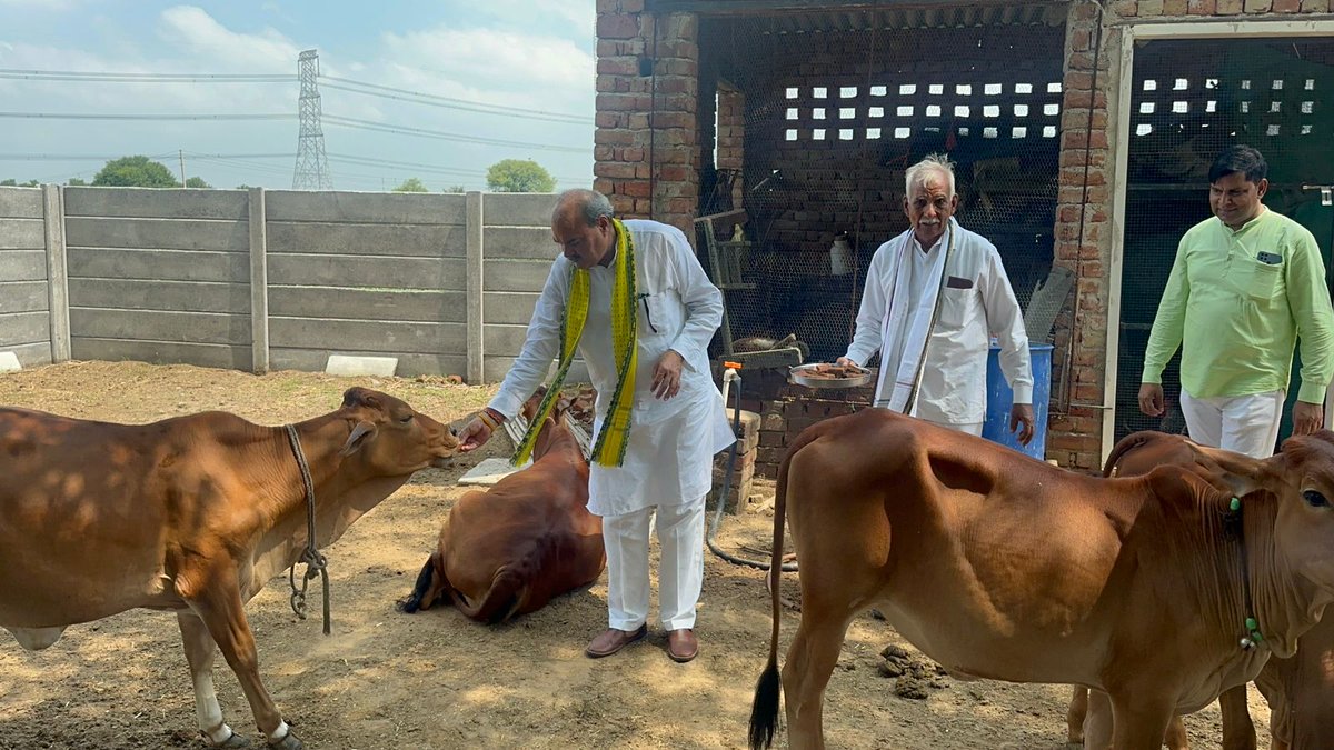 laxmanyadav4bjp's tweet photo. हरियाली अमावस्या के शुभ अवसर पर गौमाता को गुड़ खिलाया ! गौमाता से कोसली के अपने परिवारजनों के लिए सुख - शांति और समृद्धि की कामना की।
#BJPGovernment #BJP4IND #haryana #BJP4Haryana #NarendraModi #NayabSaini #rewari #laxmanyadav #Kosali #ModiSarkar https://t.co/b5UCRjg5ye