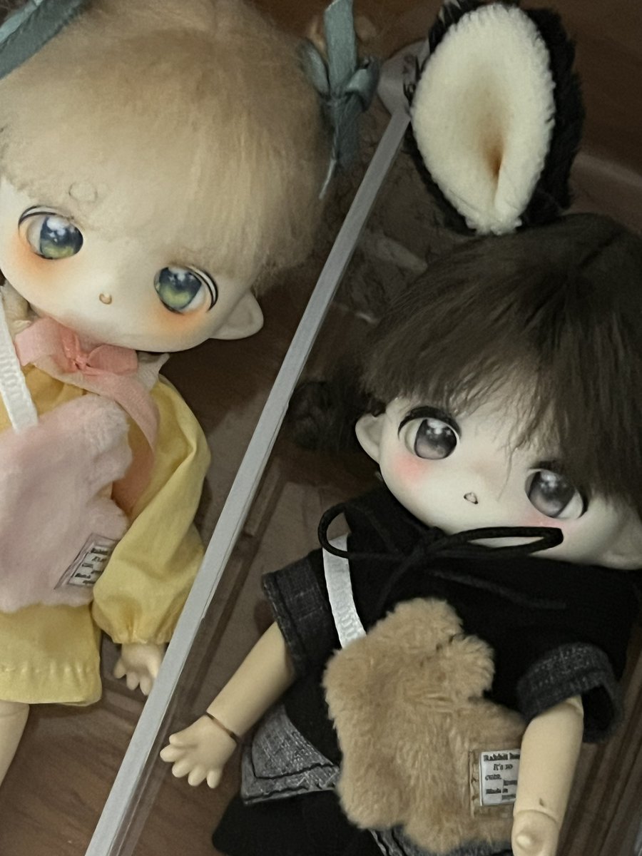 토끼끼리 모하나요🐰