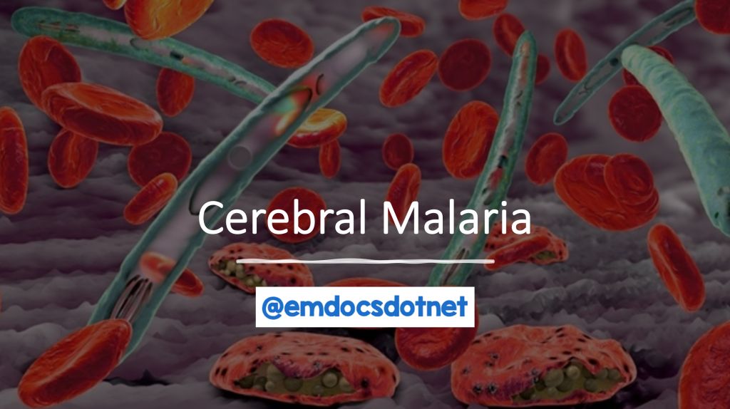 MRCEM Success tweet media