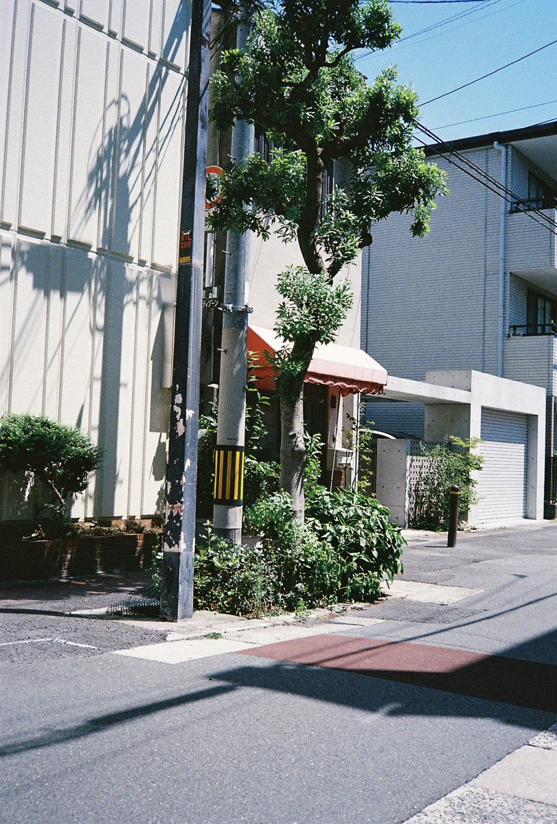 majiro0083's tweet photo. 愛おしい日々のキロク

#写真で伝える私の世界 
#ファインダー越しの私の世界 
#写真撮ってる人と繋がりたい 
#yousawscenes 
#streetphotography
#film
#konica 
#KonicaC35Flashmatic
#真城世界観 https://t.co/9Ib1hgZTiU