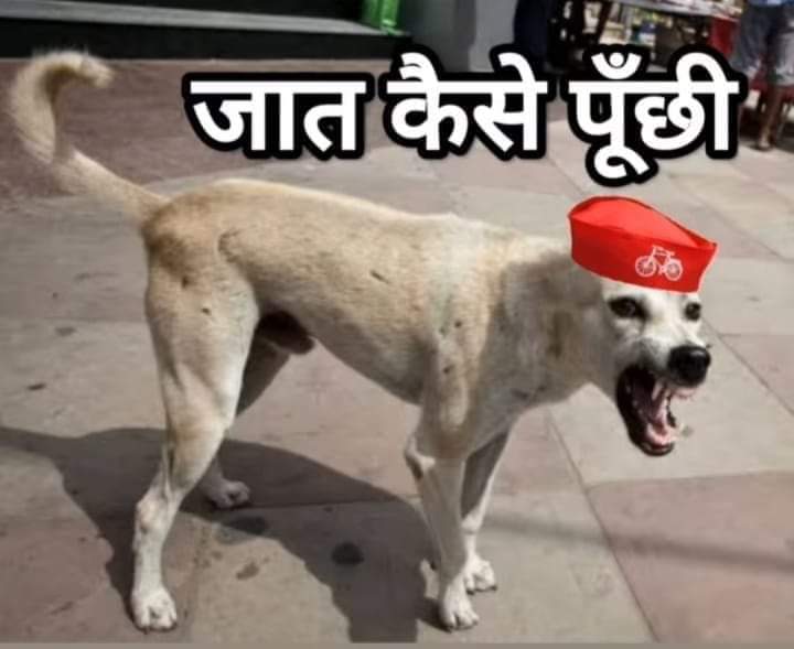 अकल लेश ने सही बोला आप जाति कैसे पूछ सकते हैं.. 😡
नस्ल पूछनी चहिए थी... 🐕🦮
                     🤭😂😂
