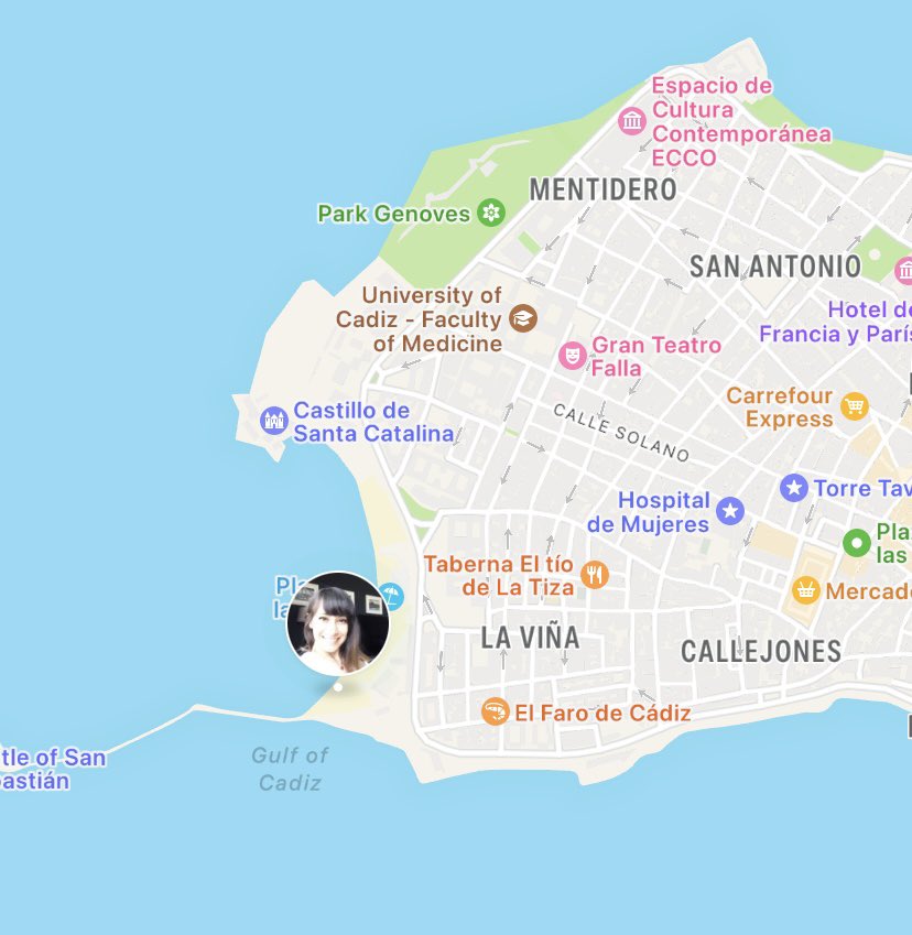 BerivanBitikMD's tweet photo. Can I really not be jealous that the medical school in Cadiz is right by both a beach and a big park? https://t.co/aP7xHEqqmc