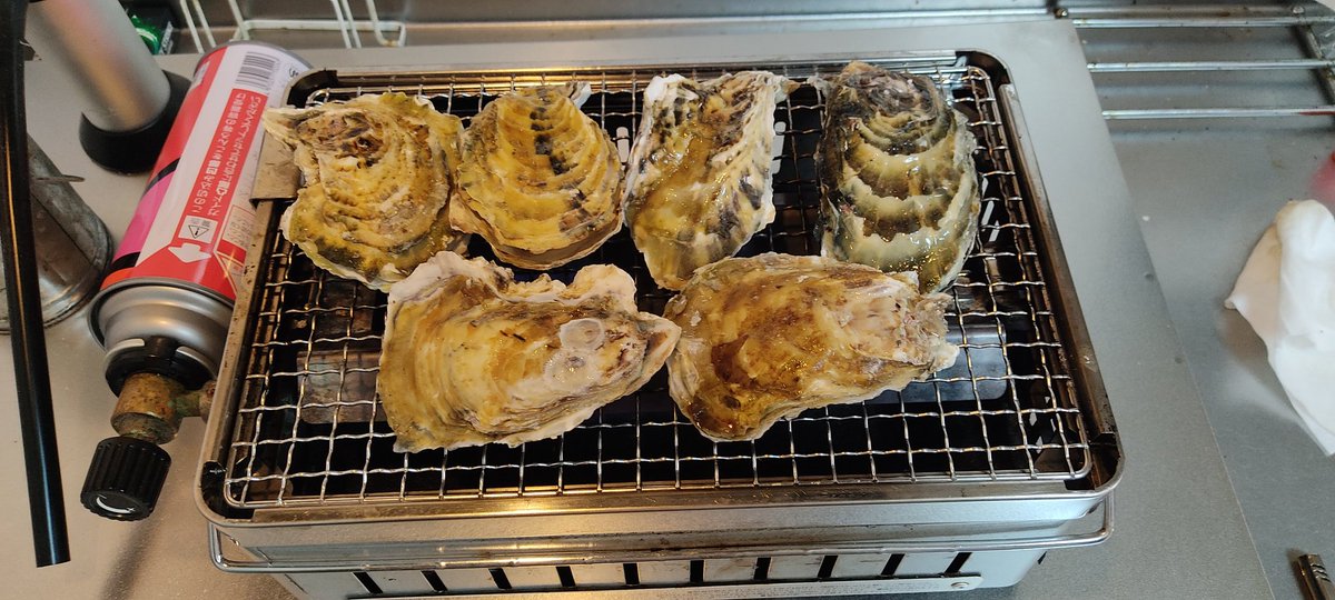 azyxxz's tweet photo. 20年位前に購入したイワタニの網焼き機で宅飲み、楽しんでいます #イワタニ #ForeWinds #宅飲み #網焼き https://t.co/CKIZLAu26U