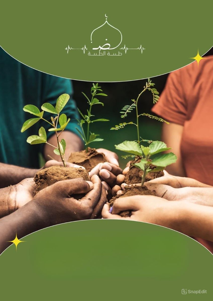tatwea2030's tweet photo. بحث متطوع مجتهد من فريق نبض طيبة الطيبة التطوعي
قام المتطوع بشرح مبسط للعمل التطوعي لطلاب المرحلة الثانوية 

https://t.co/8IXTj17BwE https://t.co/emiOsG47lc