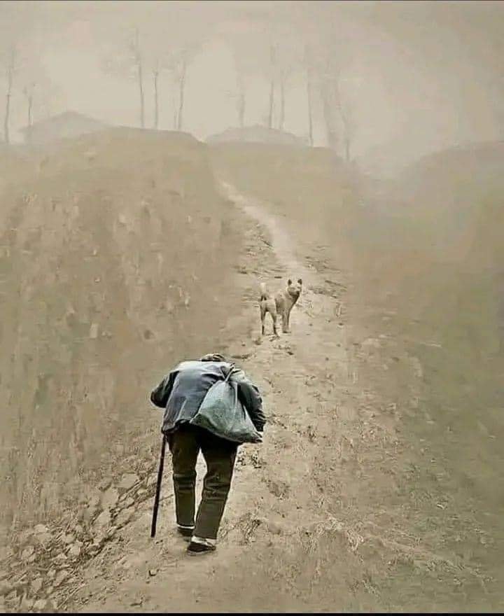 No dog ever abandoned its owner because he was old or sick.