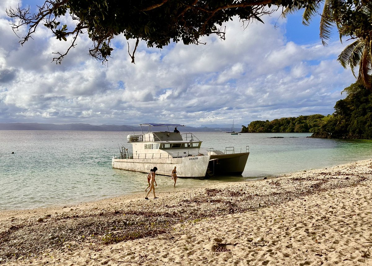 Gary Numan tweet media