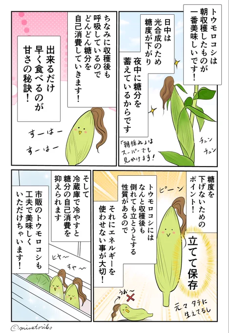 (2/2) 