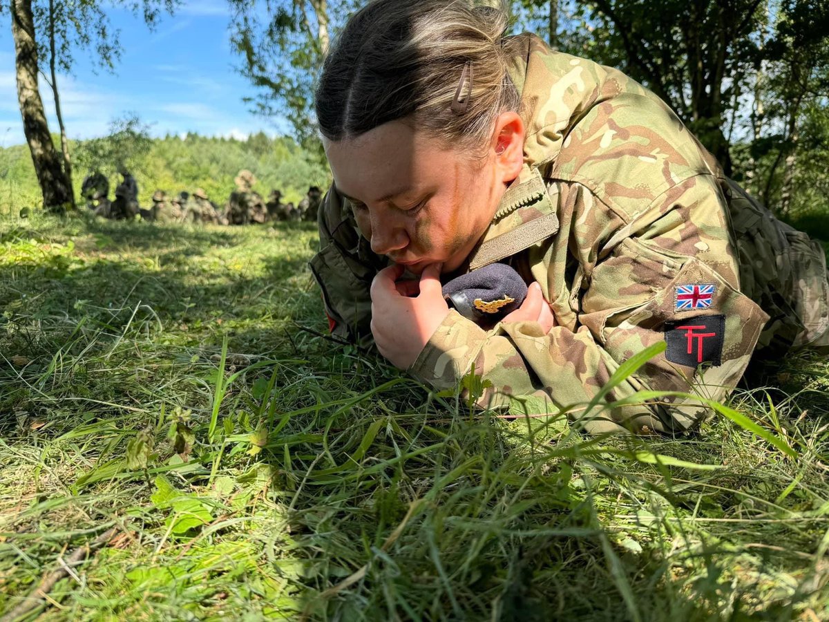 SSI Colledge B Coy DACF tweet media