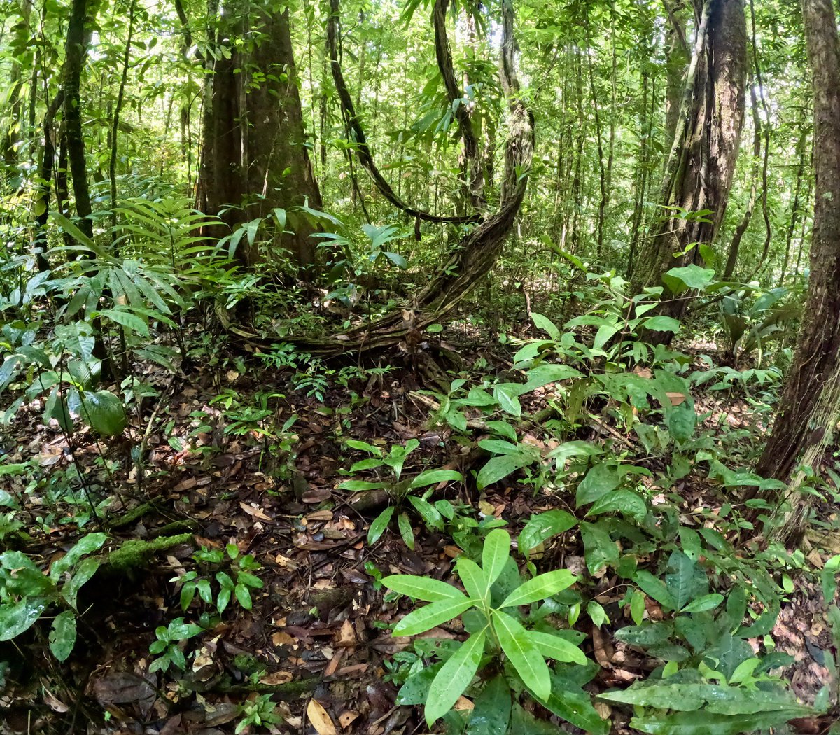 Vincent Merckx tweet media