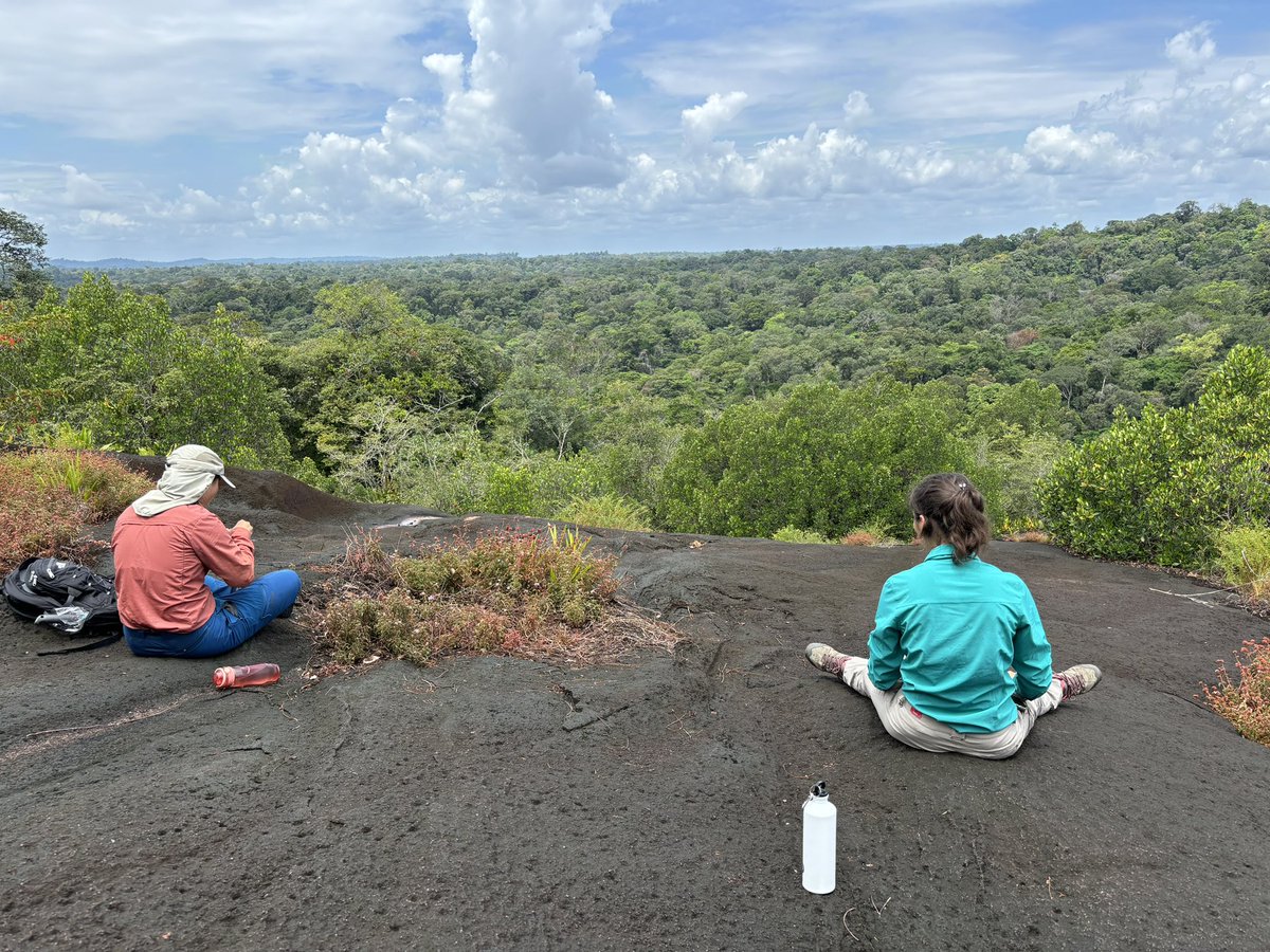 Vincent Merckx tweet media