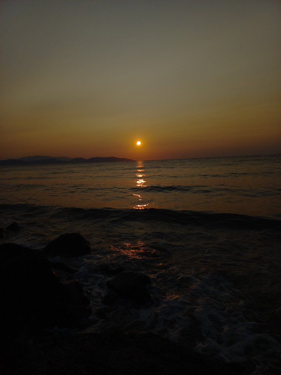 Emrecan Sünnetci tweet media