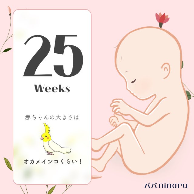 mingo_hobbytime's tweet photo. 11月、我が子が爆誕することになりました👨‍🍼
性別はおそらく女の子です。
立派な父親になれるように頑張ります💪
#出産報告
#マタニティフォト https://t.co/NCdareOnDS