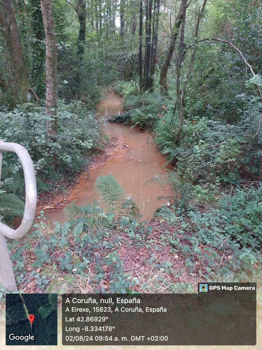 minatouropinono's tweet photo. Seguimos convidando a acompañarnos de visita ó Director Xeral das minas e a #AugasdeGalicia  @Xunta ao paseo do rego Portapego e o Pucheiras ao que queren verter..... máis;pareceralles pouco como vai  #Touro. Ese ao que lle aplicaron o "proxecto de drenaxe" seica xa ten "fauna" https://t.co/0pUyCaKxRI