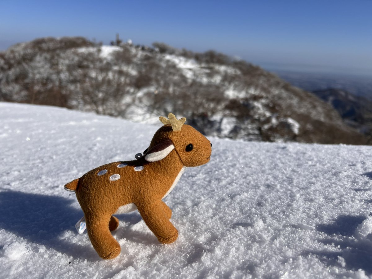 NARA_CK105's tweet photo. 暑気払い投稿⛰️

日時 2023/1/29
場所 #御在所岳 #鈴鹿 #三重 #滋賀

 #鈴鹿山脈 は南北に近畿と東海を隔てる1000m程の低山です。

お気に入りポイント3選

・南北で山容がガラッと変わり飽きません

・滋賀、三重、��阜、愛知の景色が望めます

・何といってもきらきらな名前がステキでしょ🔔🦌 https://t.co/Z8yakM51NE