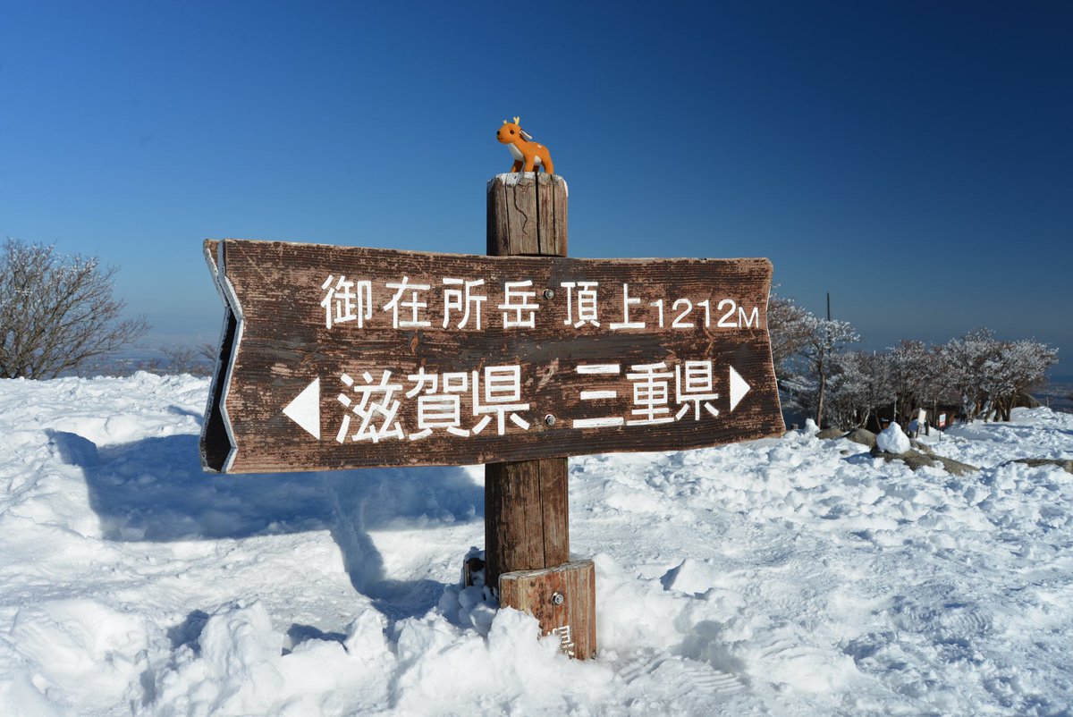NARA_CK105's tweet photo. 暑気払い投稿⛰️

日時 2023/1/29
場所 #御在所岳 #鈴鹿 #三重 #滋賀

 #鈴鹿山脈 は南北に近畿と東海を隔てる1000m程の低山です。

お気に入りポイント3選

・南北で山容がガラッと変わり飽きません

・滋賀、三重、��阜、愛知の景色が望めます

・何といってもきらきらな名前がステキでしょ🔔🦌 https://t.co/Z8yakM51NE