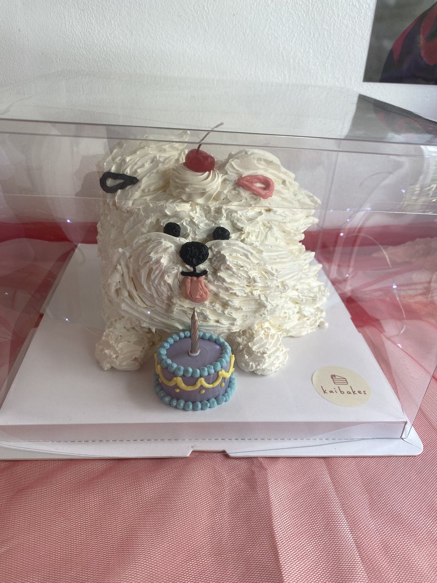 🍒 big big big thank you to <a href="/CSCSODA/">CHERRY SODA</a> and to the organizers, artists, and carats for this very cute and well-organized event. i am so happy that i made good friends and memories for my first svt cse 💐❣️ hope to see y'all again soon