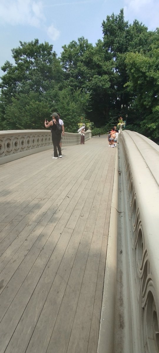 Tony__M16's tweet photo. L'eleganza di un ponticello in ghisa a #CentralPark.
#BowBridge https://t.co/G3fPw90xl6