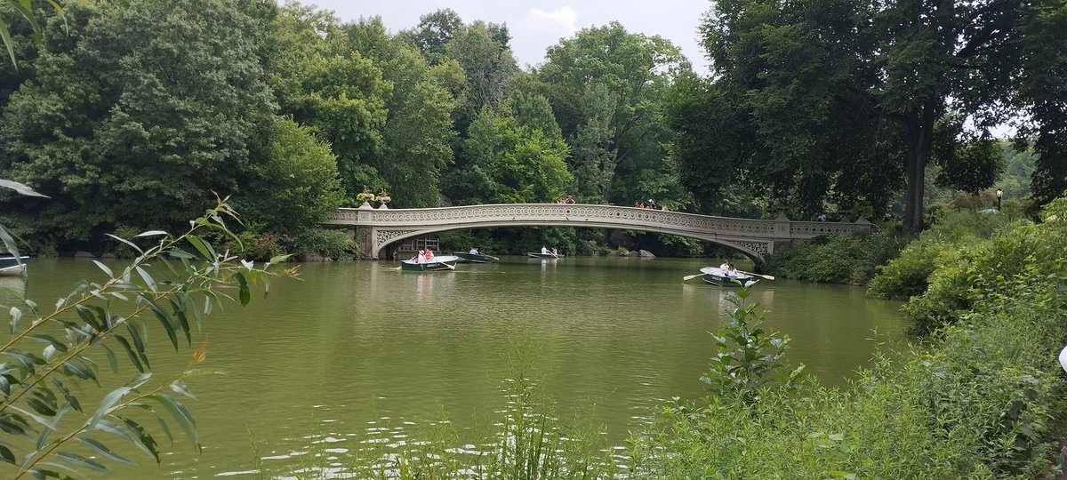 Tony__M16's tweet photo. L'eleganza di un ponticello in ghisa a #CentralPark.
#BowBridge https://t.co/G3fPw90xl6