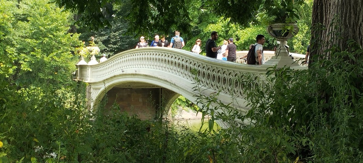 Tony__M16's tweet photo. L'eleganza di un ponticello in ghisa a #CentralPark.
#BowBridge https://t.co/G3fPw90xl6