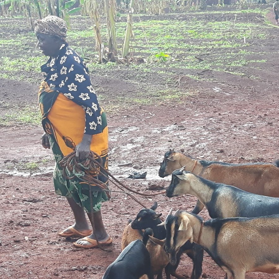 Mboni Ya Vijana (MVG) tweet media