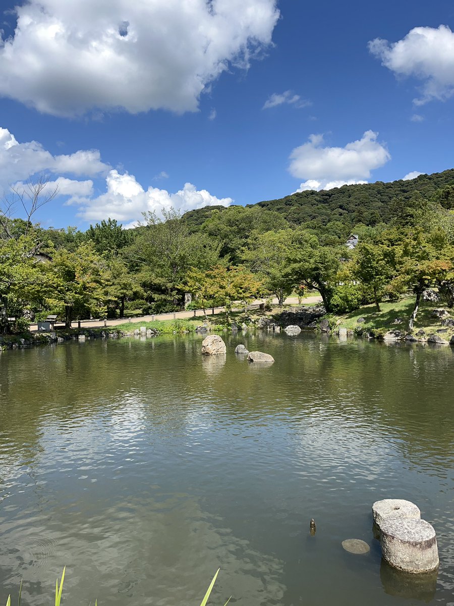 tsukushi100's tweet photo. #これを見た人は無言で去年８月に撮った写真を貼る https://t.co/Df5iJEMRnm