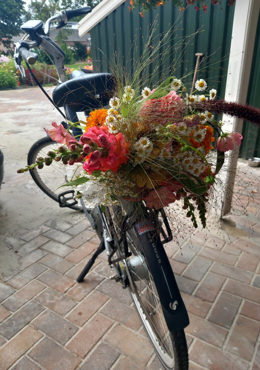 HeleenHoltmanns's tweet photo. Er ging een boeket mee op de fiets. Ik ging tuin kijken bij een vriendin.
Zinnia's zo groot als mijn hand, prachtig gewoon 😍.
#pluktuin #opentuin https://t.co/kB1LOV04hs